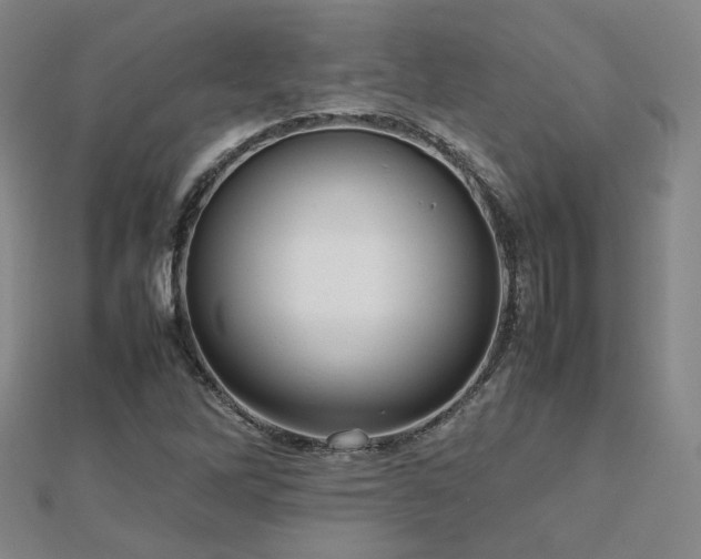 X0000112811262200908211136