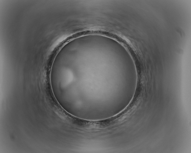 X0000112811263200908211136