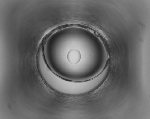 X0000112811264200908211136