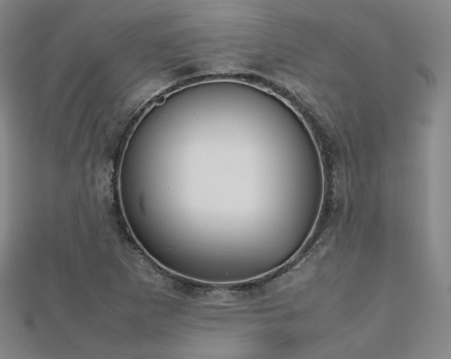X0000112811265200908211136
