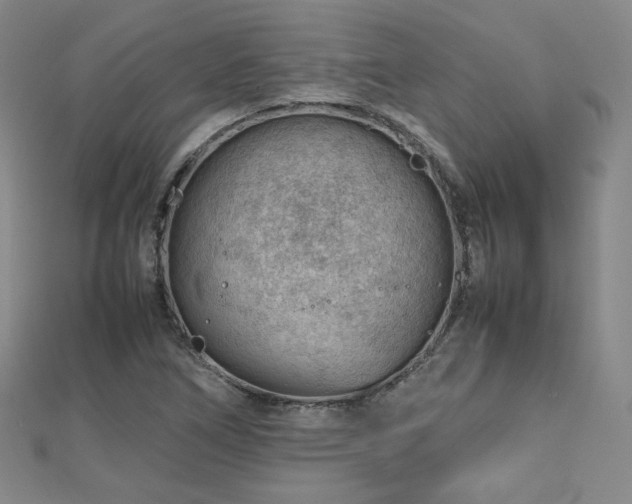 X0000112811266200908211136