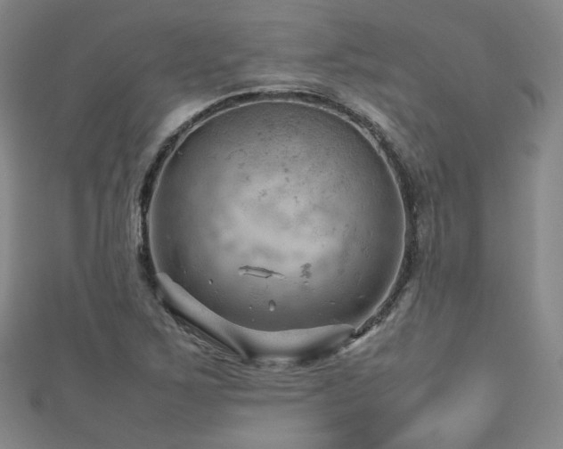 X0000112811267200908211136
