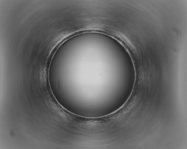 X0000112811268200908211136