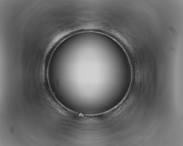 X0000112811270200908211136