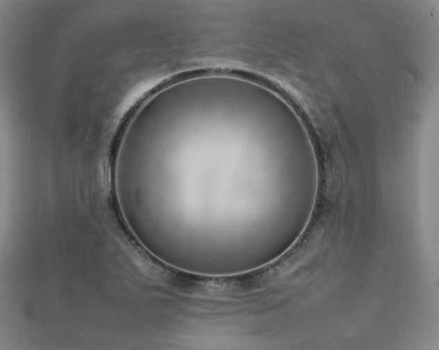 X0000112811271200908211136