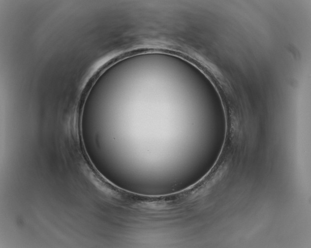 X0000112811272200908211136