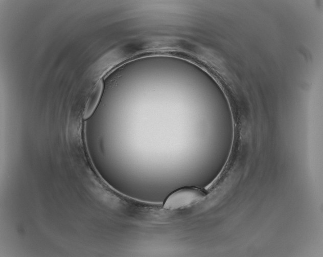 X0000112811273200908211136