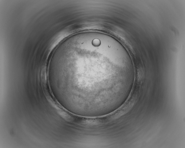 X0000112811274200908211136