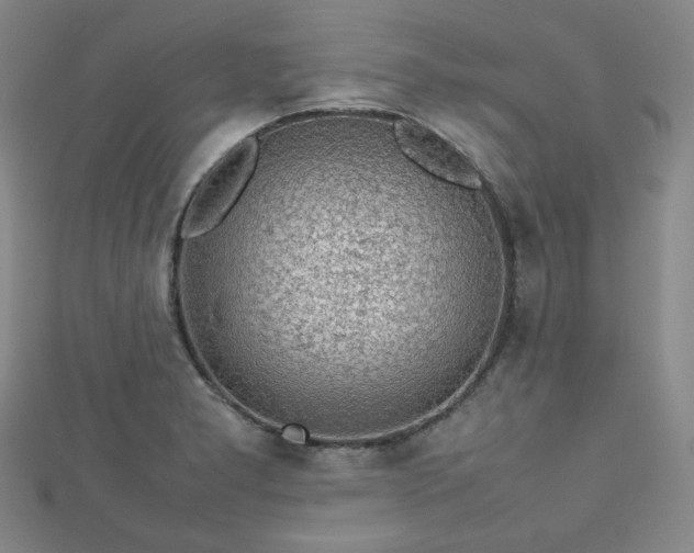 X0000112811277200908211136