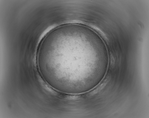 X0000112811278200908211136