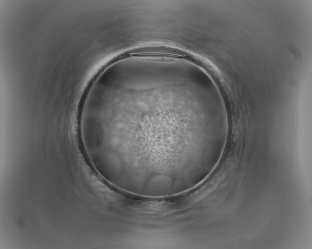 X0000112811279200908211136