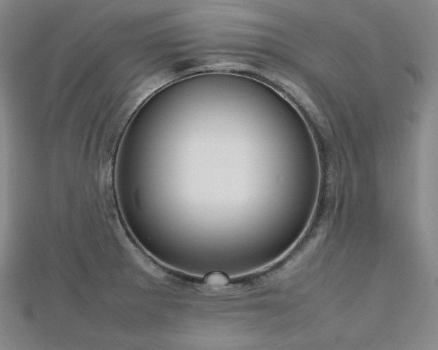 X0000112811281200908211136