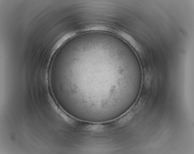 X0000112811282200908211136