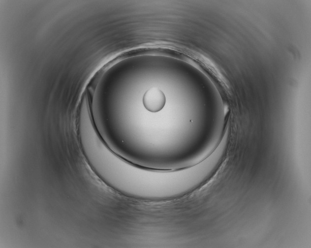 X0000112811284200908211136