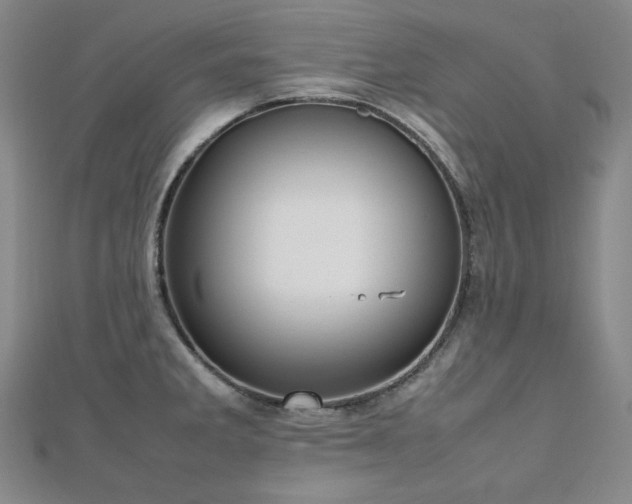 X0000112811285200908211136