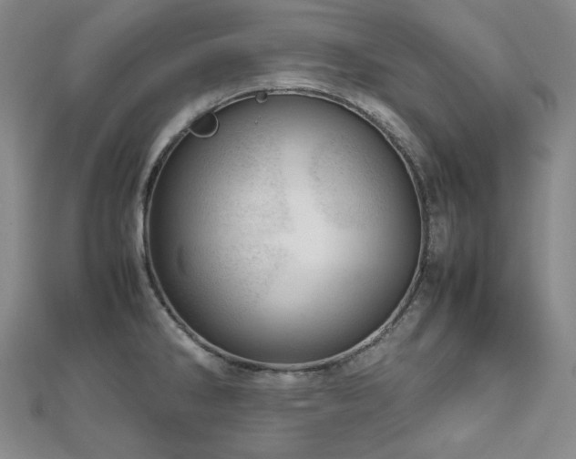 X0000112811286200908211136