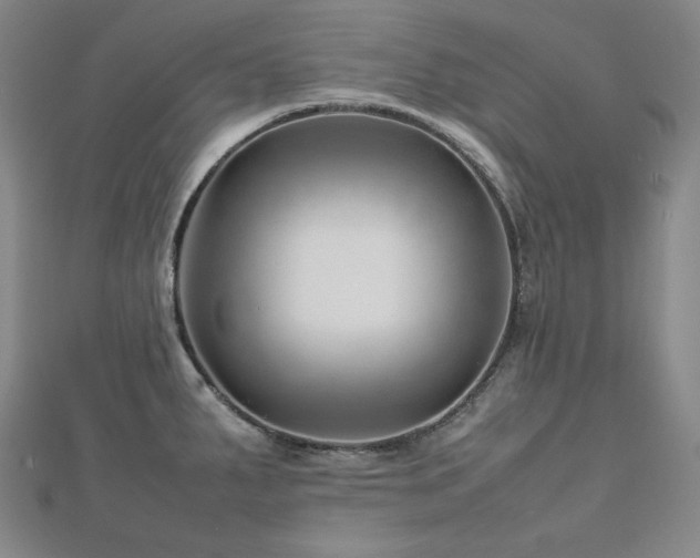 X0000112811287200908211136