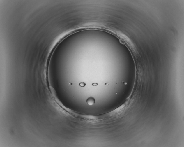 X0000112811288200908211136
