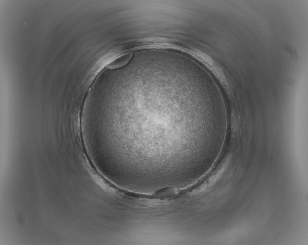 X0000112811289200908211136
