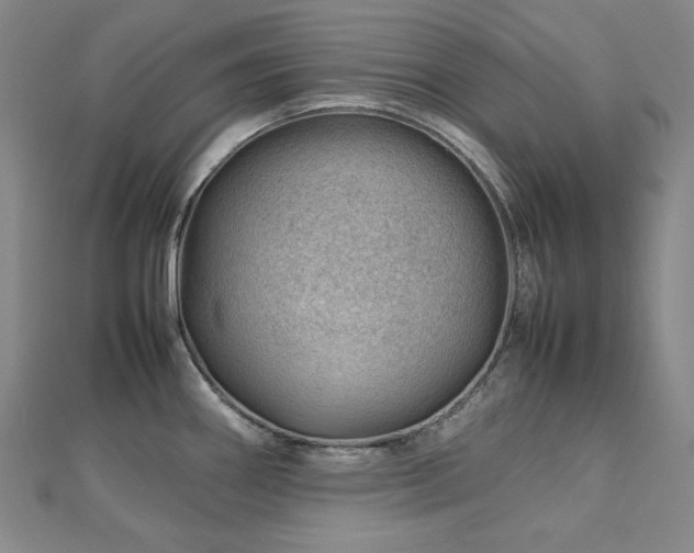 X0000112811290200908211136