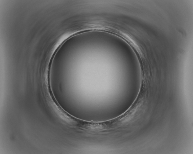 X0000112811291200908211136