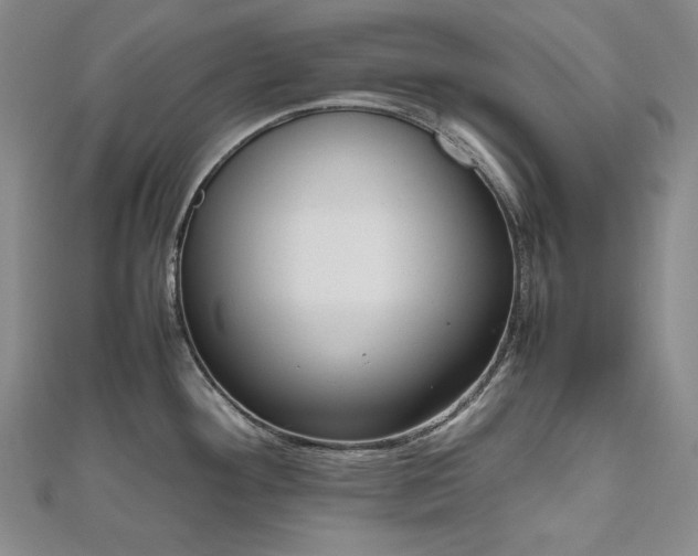 X0000112811292200908211136