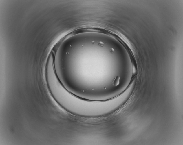 X0000112811293200908211136