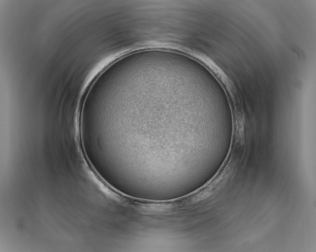 X0000112811294200908211136