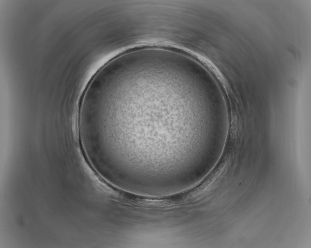 X0000112811295200908211136