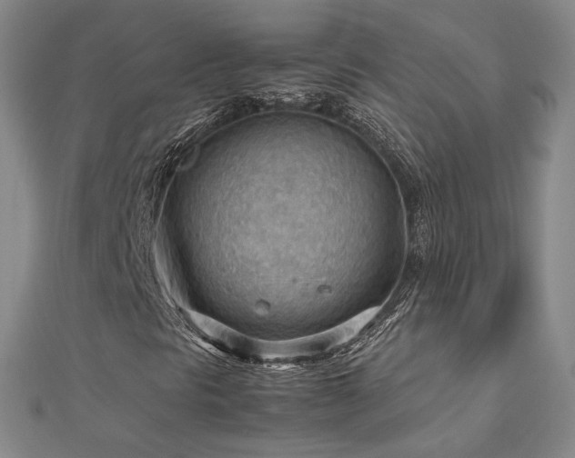 X0000112811297200908211135