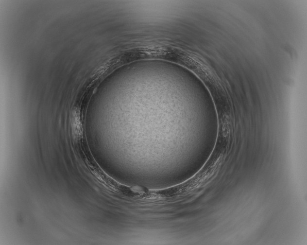 X0000112811298200908211135