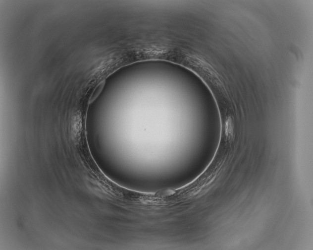 X0000112811299200908211135