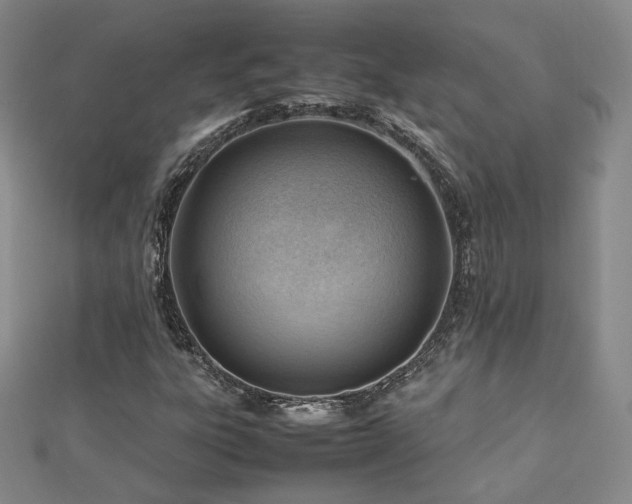 X0000112811303200908211135