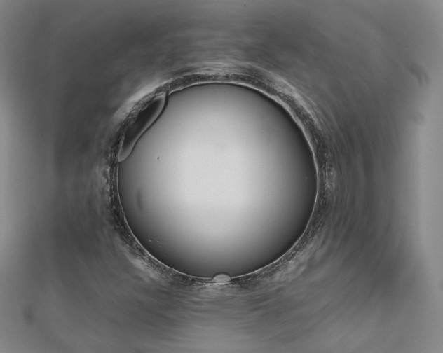 X0000112811304200908211135