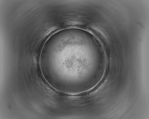 X0000112811305200908211135