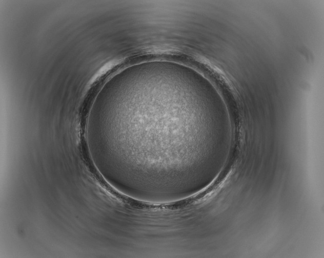 X0000112811306200908211135