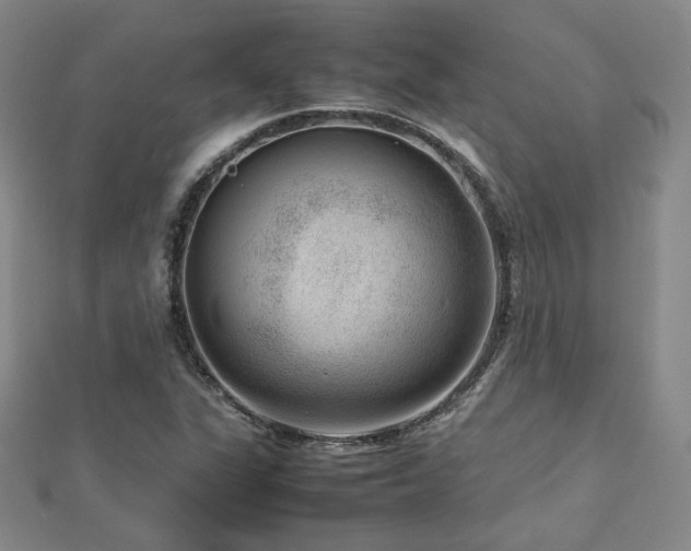 X0000112811311200908211135