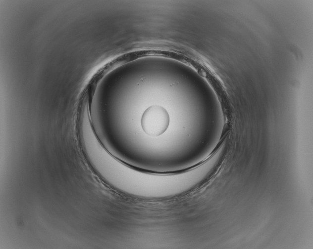 X0000112811312200908211135