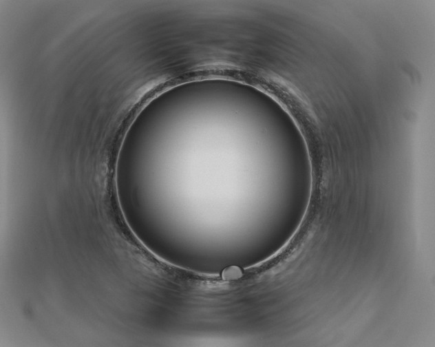 X0000112811313200908211135