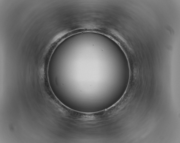 X0000112811315200908211135