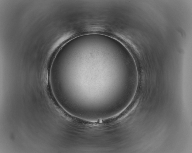 X0000112811317200908211135