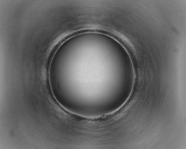 X0000112811318200908211135