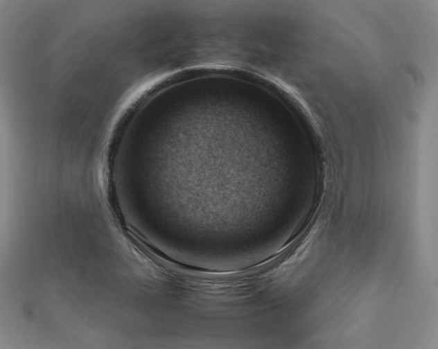 X0000112811319200908211135