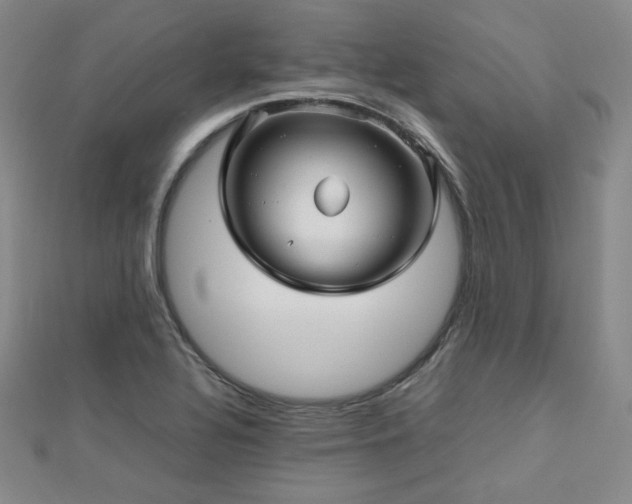 X0000112811320200908211135