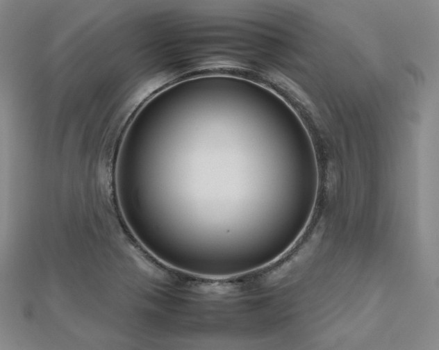 X0000112811321200908211135