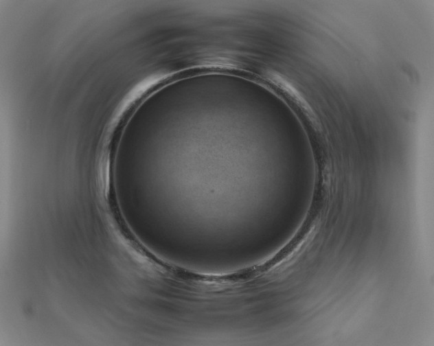 X0000112811323200908211135