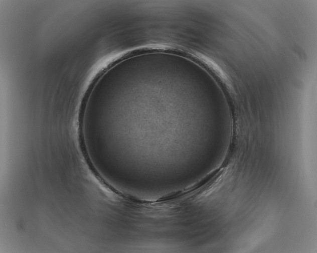 X0000112811327200908211135