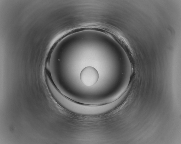 X0000112811328200908211136