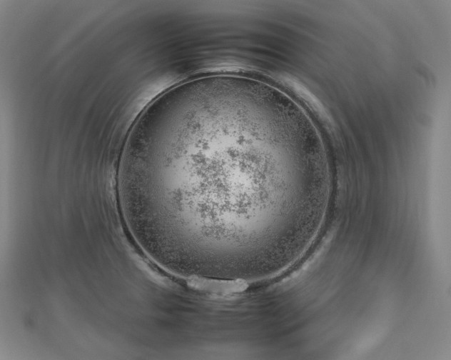 X0000112811329200908211136