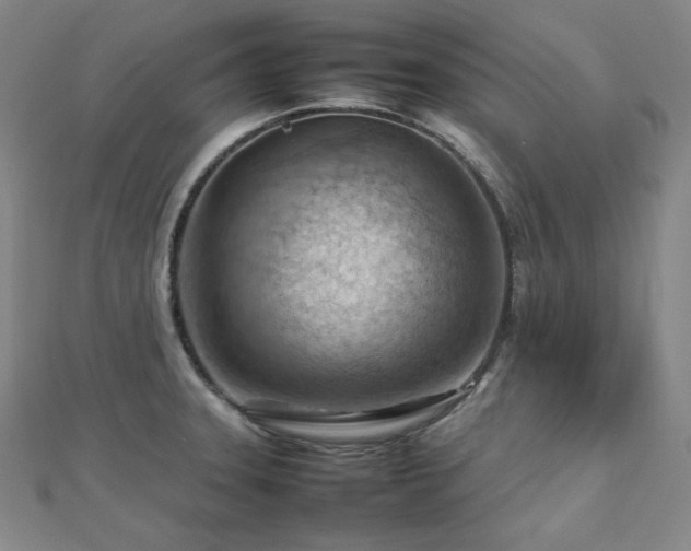 X0000112811331200908211136